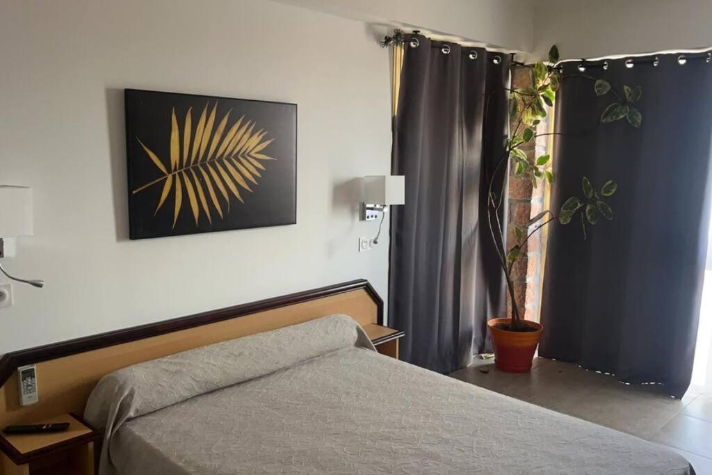 Appartement Porto - Ota Eksteriør bilde